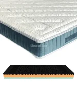 MEMORY PLUS